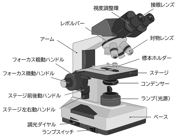 豪華 顕微鏡