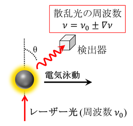 光散乱電気泳動法