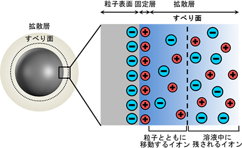 コロイド粒子におけるすべり面とゼータ電位