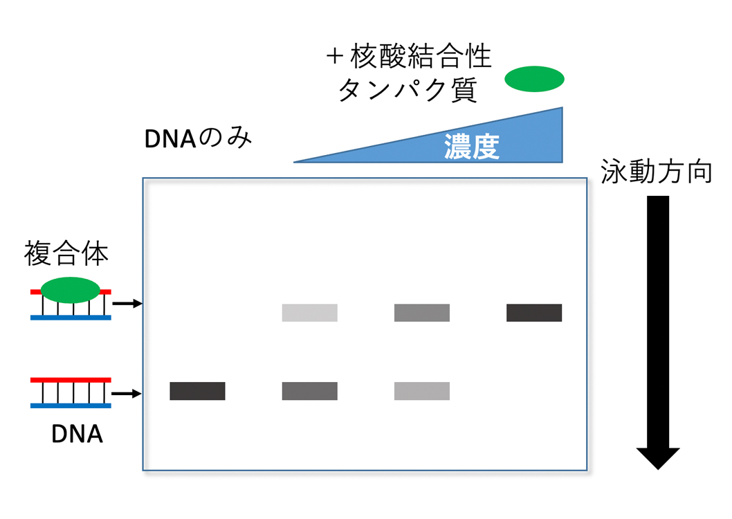 代替文字