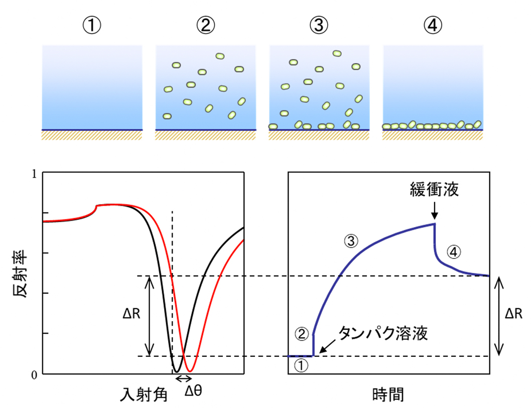 代替文字